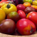 10 Concepts for Rising Tomatoes * Big Weblog of Gardening