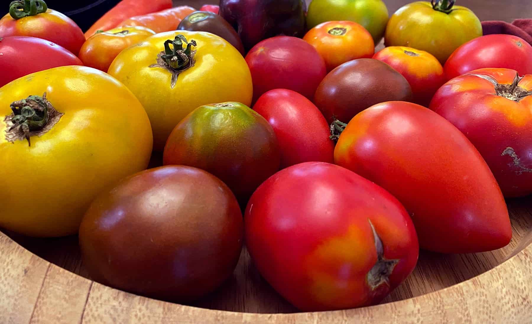 10 Concepts for Rising Tomatoes * Big Weblog of Gardening