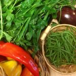 Can a Vegetable Yard Save You Money on Groceries? * Huge Weblog of Gardening