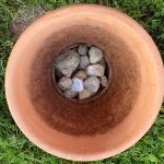 In no way Add Stones to the Bottom of Your Flower Pots * Big Weblog of Gardening