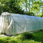 Polytunnel Rising For Newcomers * Huge Weblog of Gardening