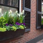 Options for Worthwhile Window Discipline Gardening * Huge Weblog of Gardening